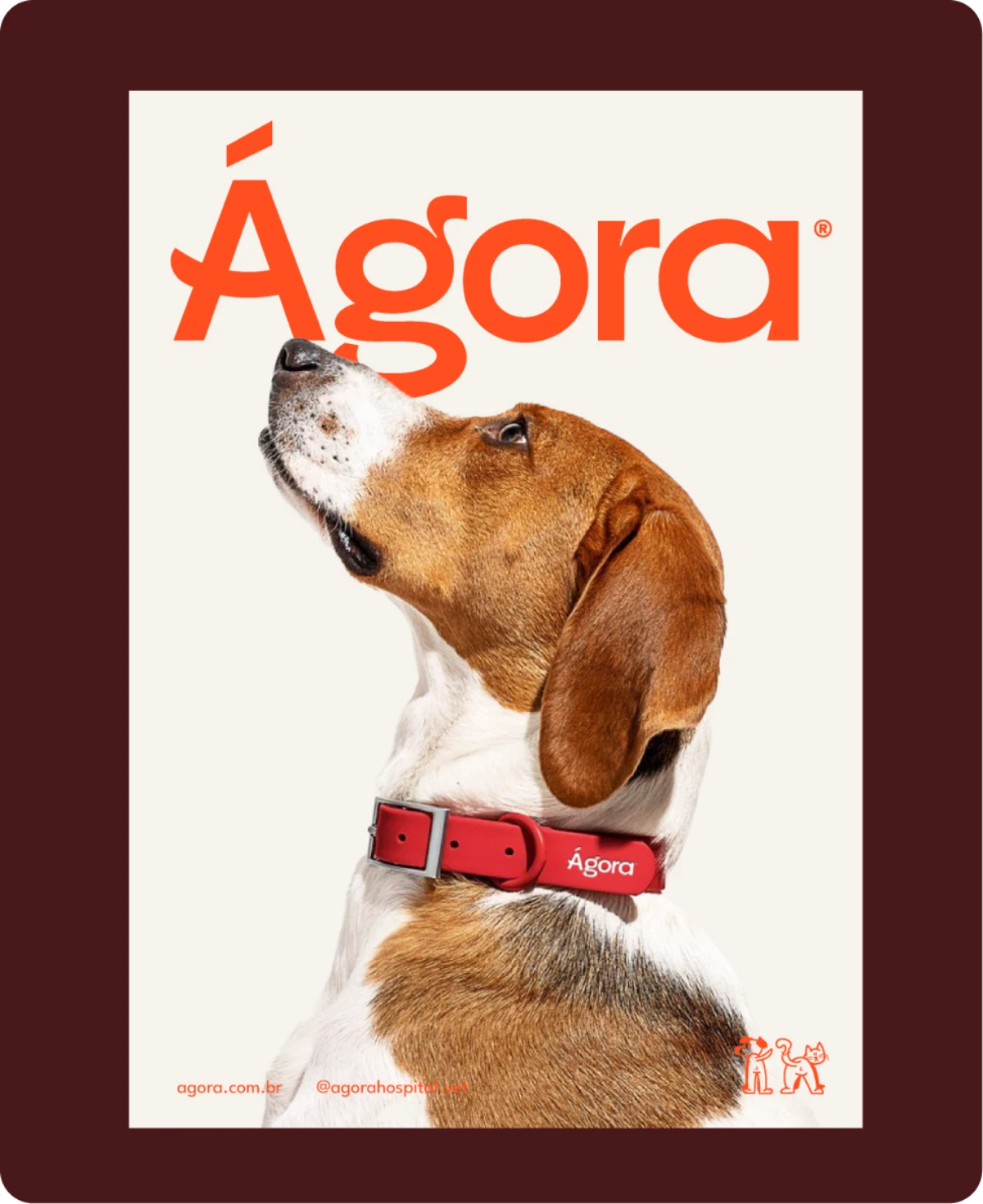 Ágora Vet